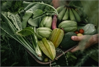 Madeira's culinary treasures: a journey through its flora and fauna