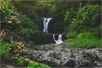 Geophysical survey of groundwater discharges into the ocean and major hydrogeological barriers in Hawaii