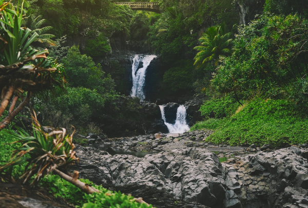 Geophysical survey of groundwater discharges into the ocean and major hydrogeological barriers in Hawaii