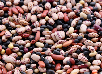 Legumes in gastronomic cultures. Diversity and adaptation to the environment. The importance of legumes in the diet.